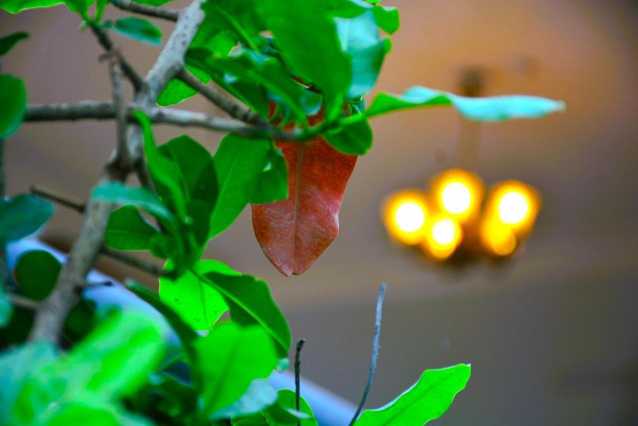 Yellow Homestay - Modern 2Bhk Ac Stay Jabalpur Exterior photo